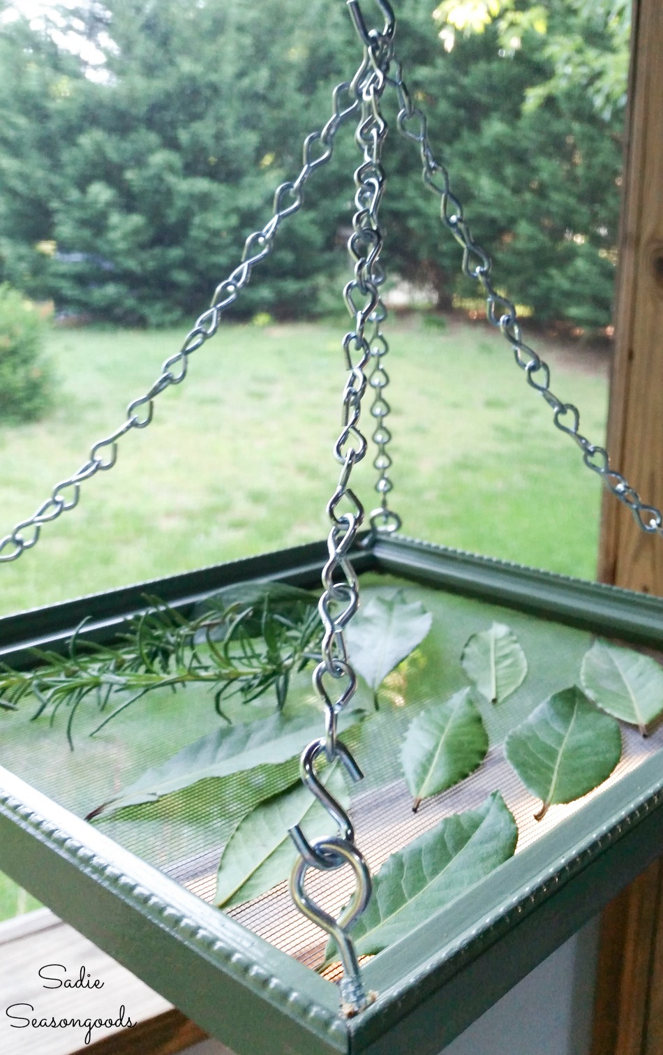 DIY Herb Drying Rack from a Repurposed Picture Frame