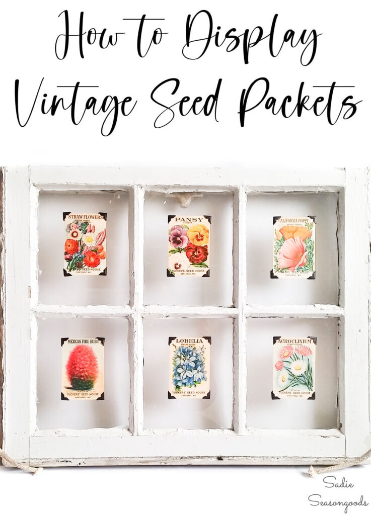 Vintage Seed Packets in an Antique Window Frame