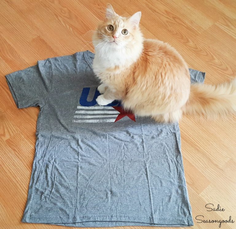 cat cave derby shirts