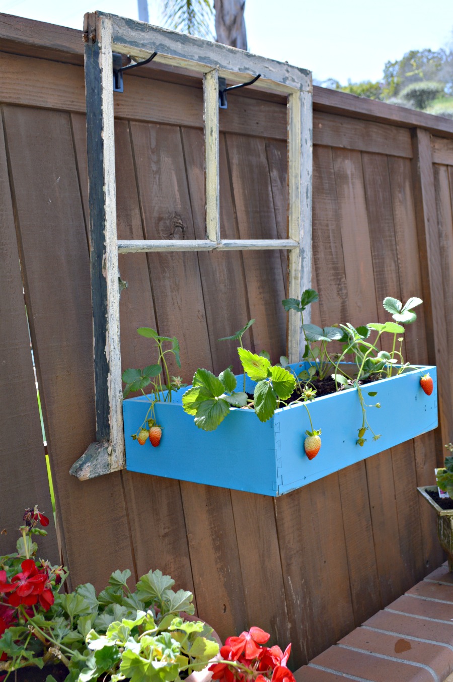 DIY Window Box from old window and drawer by My Uncommon Slice of Suburbia