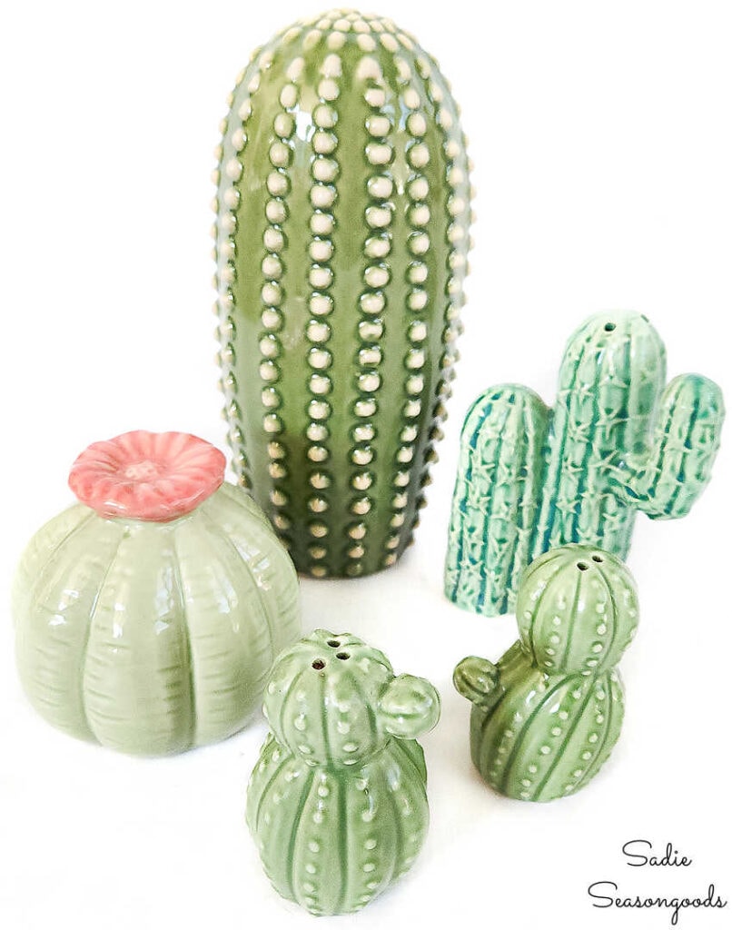 Cactus Garden with Vintage Salt and Pepper Shakers