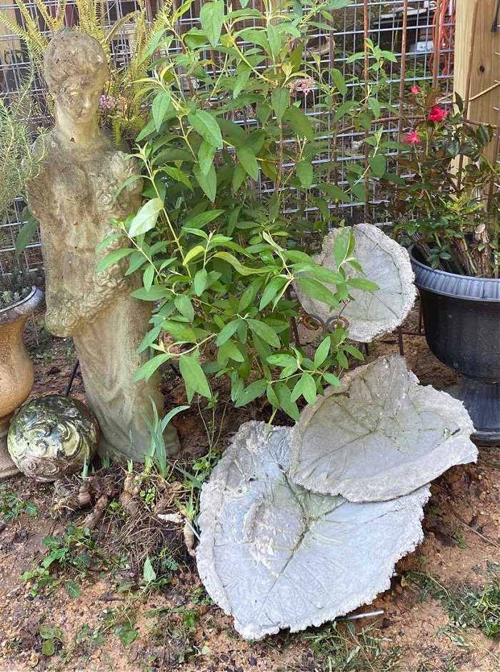 how to make concrete leaves as garden decor