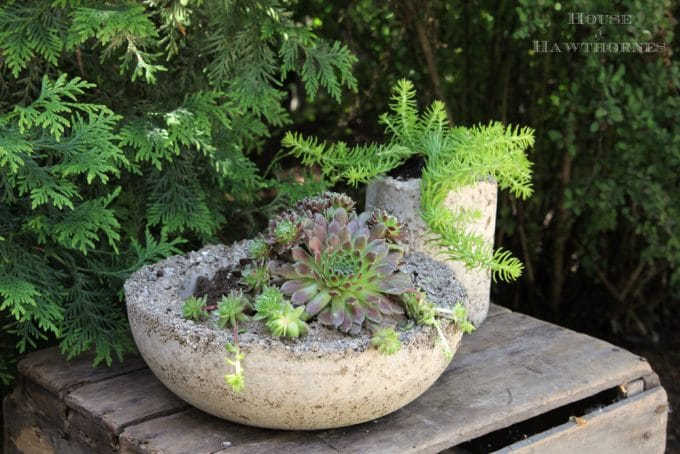 hypertufa planter