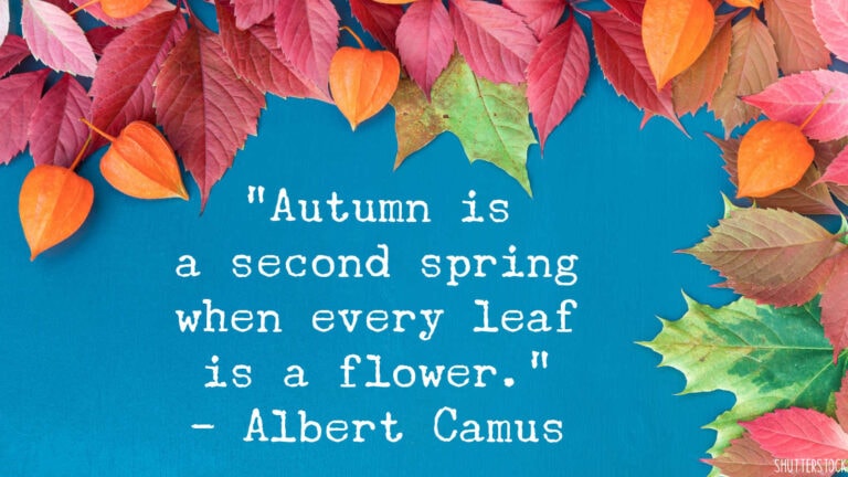 An Autumn Frame of Mind: Fall Quotes to Fall in Love With