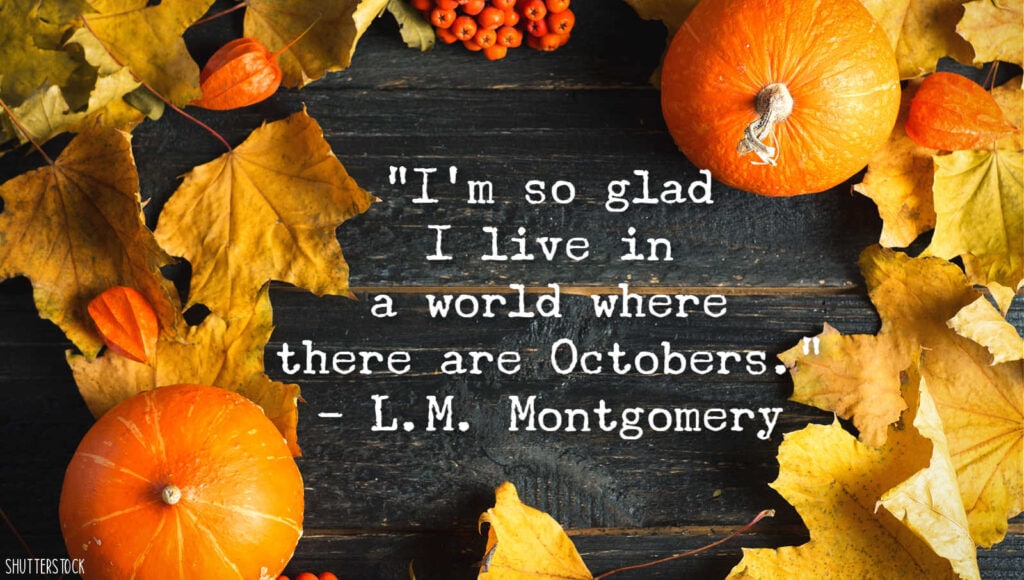 An Autumn Frame of Mind: Fall Quotes to Fall in Love With