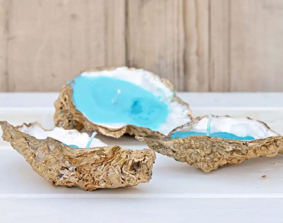 how to make candles in oyster shells