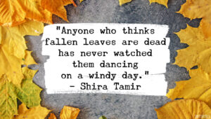 An Autumn Frame of Mind: Fall Quotes to Fall in Love With