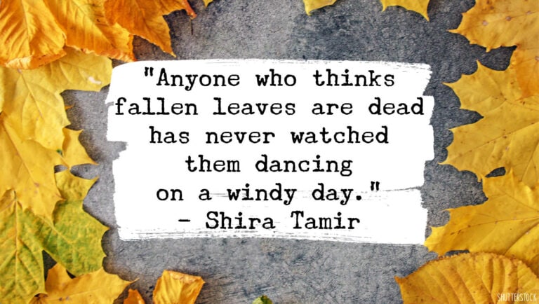 An Autumn Frame Of Mind: Fall Quotes To Fall In Love With