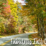 fall quotes to fall in love with