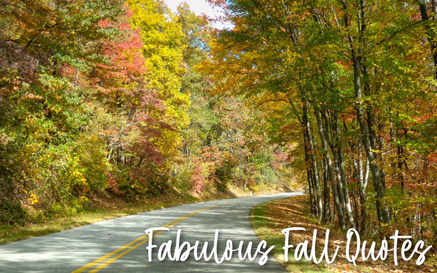 Scrumptious Fall Quotes to Swoon Over