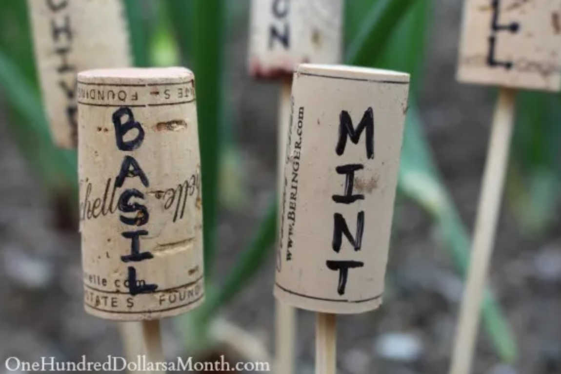 wine corks as garden markers