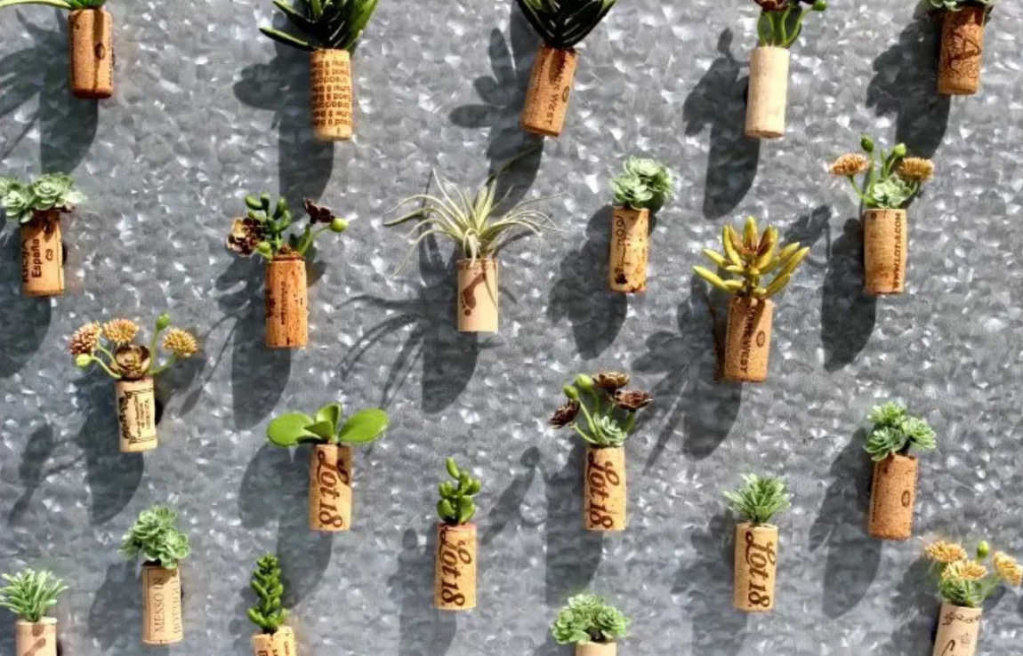 wine cork magnets with succulents