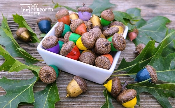 how to paint acorns