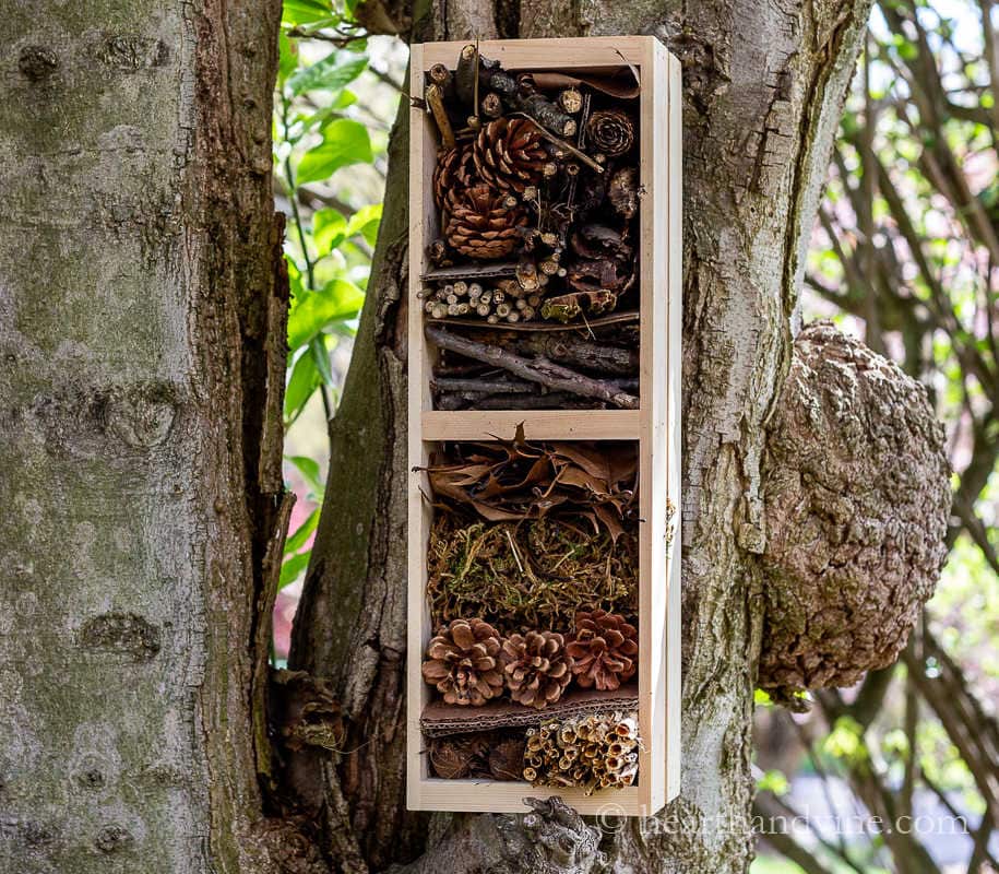 how to make an insect hotel