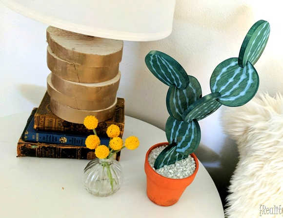 faux cactus from coasters