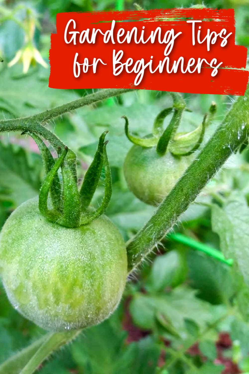 how to start gardening