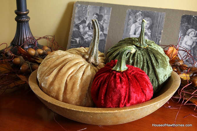 velvet pumpkins