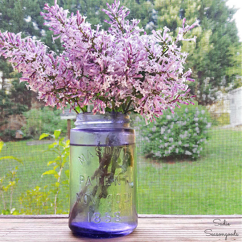 vintage purple mason jar with lilacs