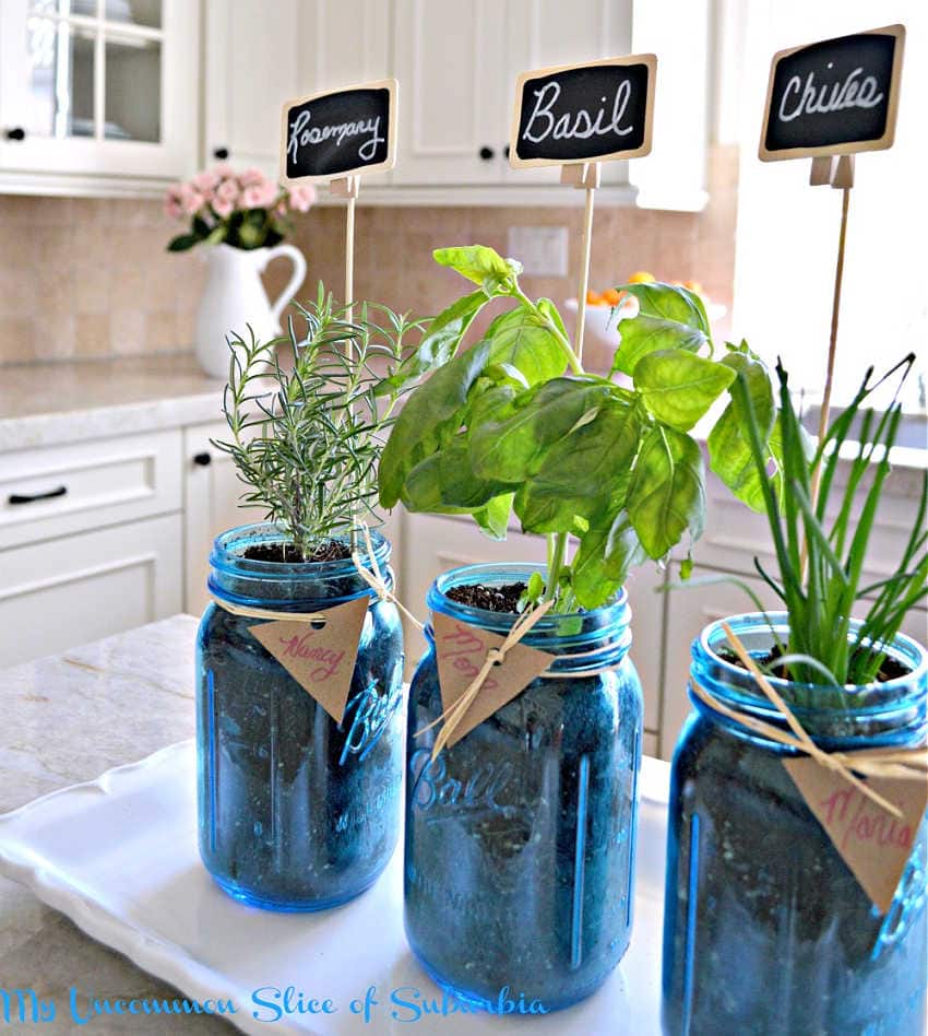 mason jar herb garden