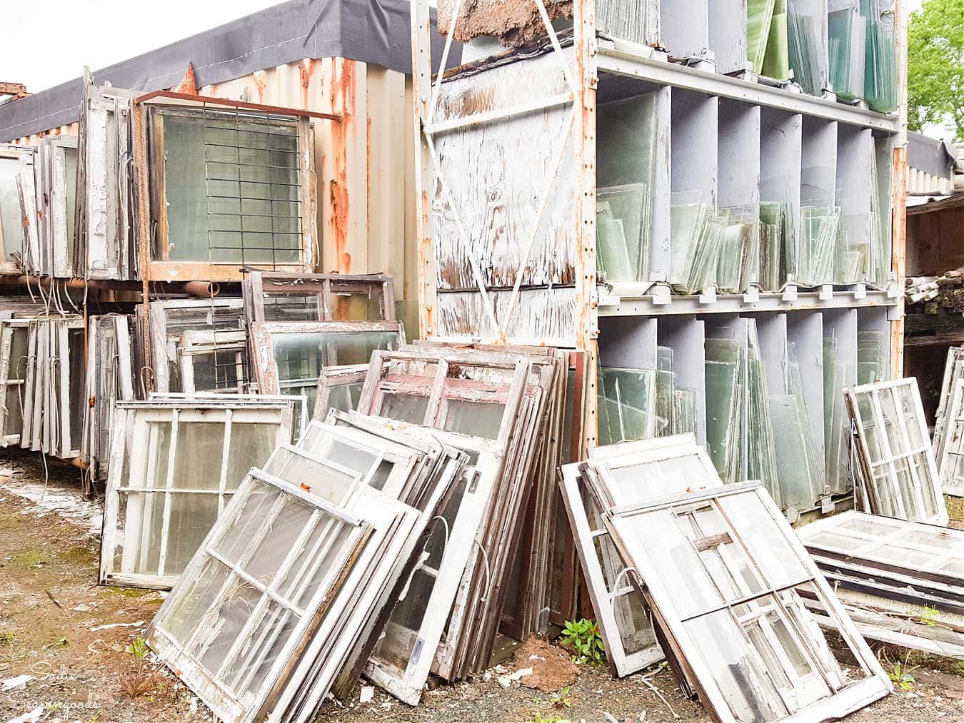 salvaged windows